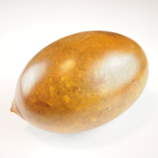 Fruit Calebasse Séchée Totumo, Ethchic