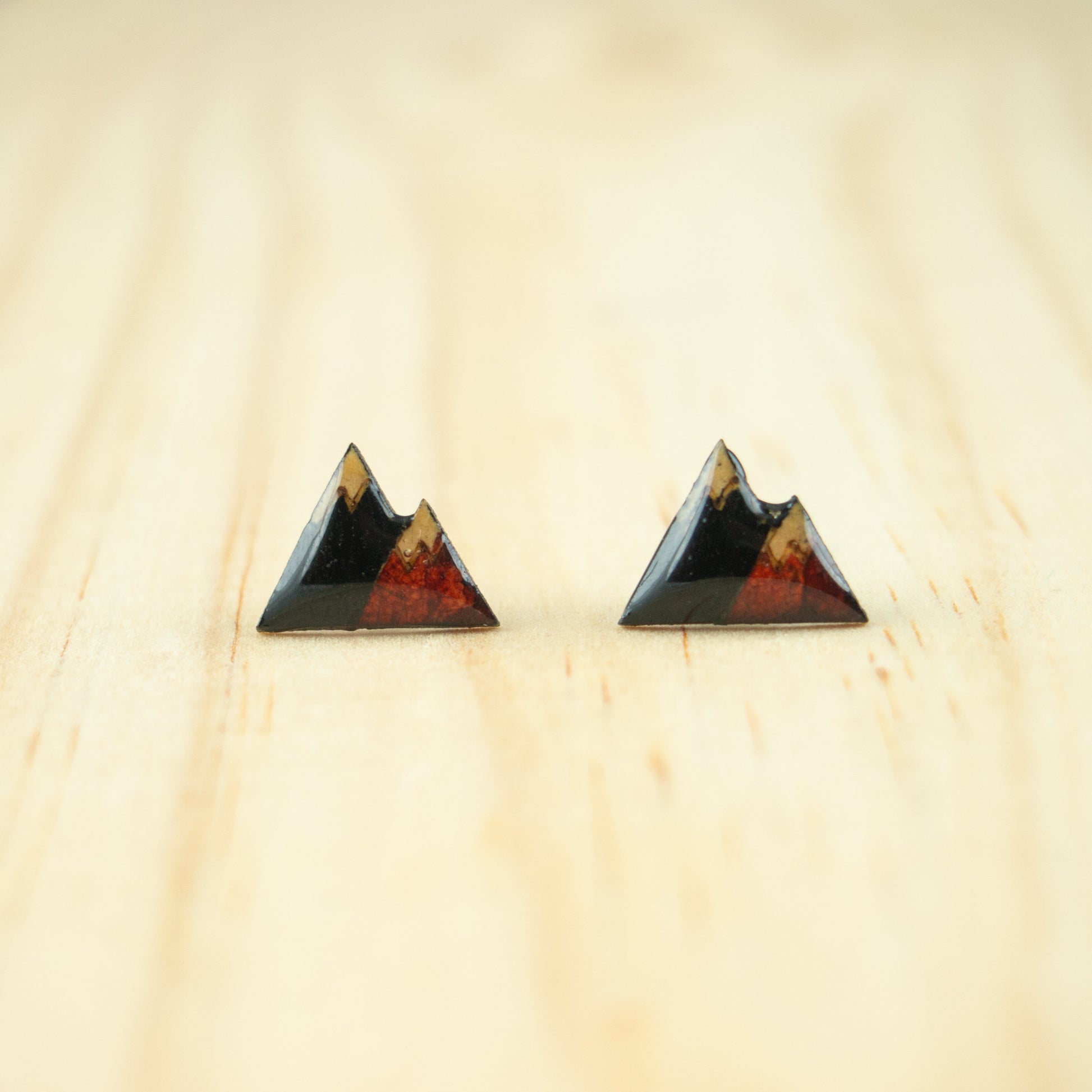 Puces d'oreilles végétales montagne boucles d'oreilles nature boucles d'oreilles effet émaillé bijoux de randonnée bijoux de noël, cloues noirs et rouges