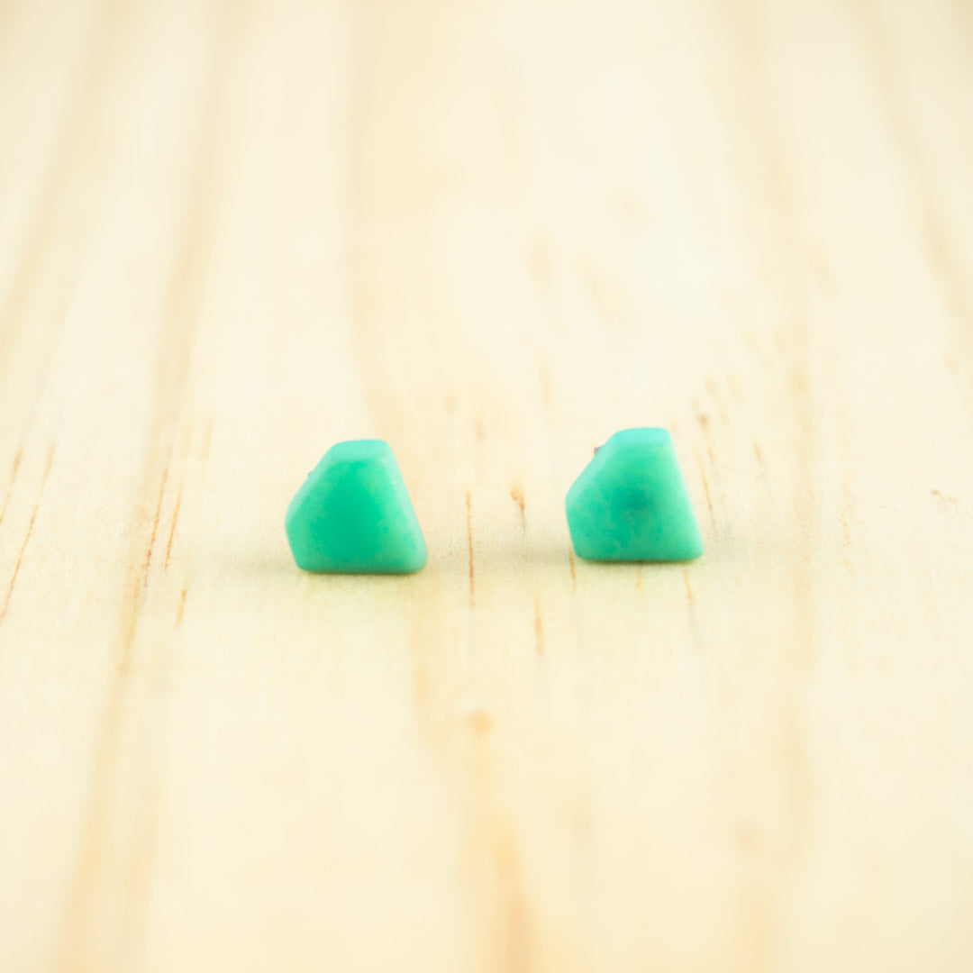 Puces d'oreilles Ivoire Végétal Diamant Végan Clous | Colidia